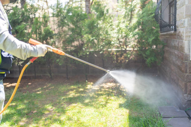 Best Affordable Pest Control Services  in Kingsbury, NV