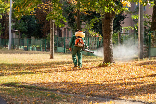 Best Pest Control Near Me in Kingsbury, NV